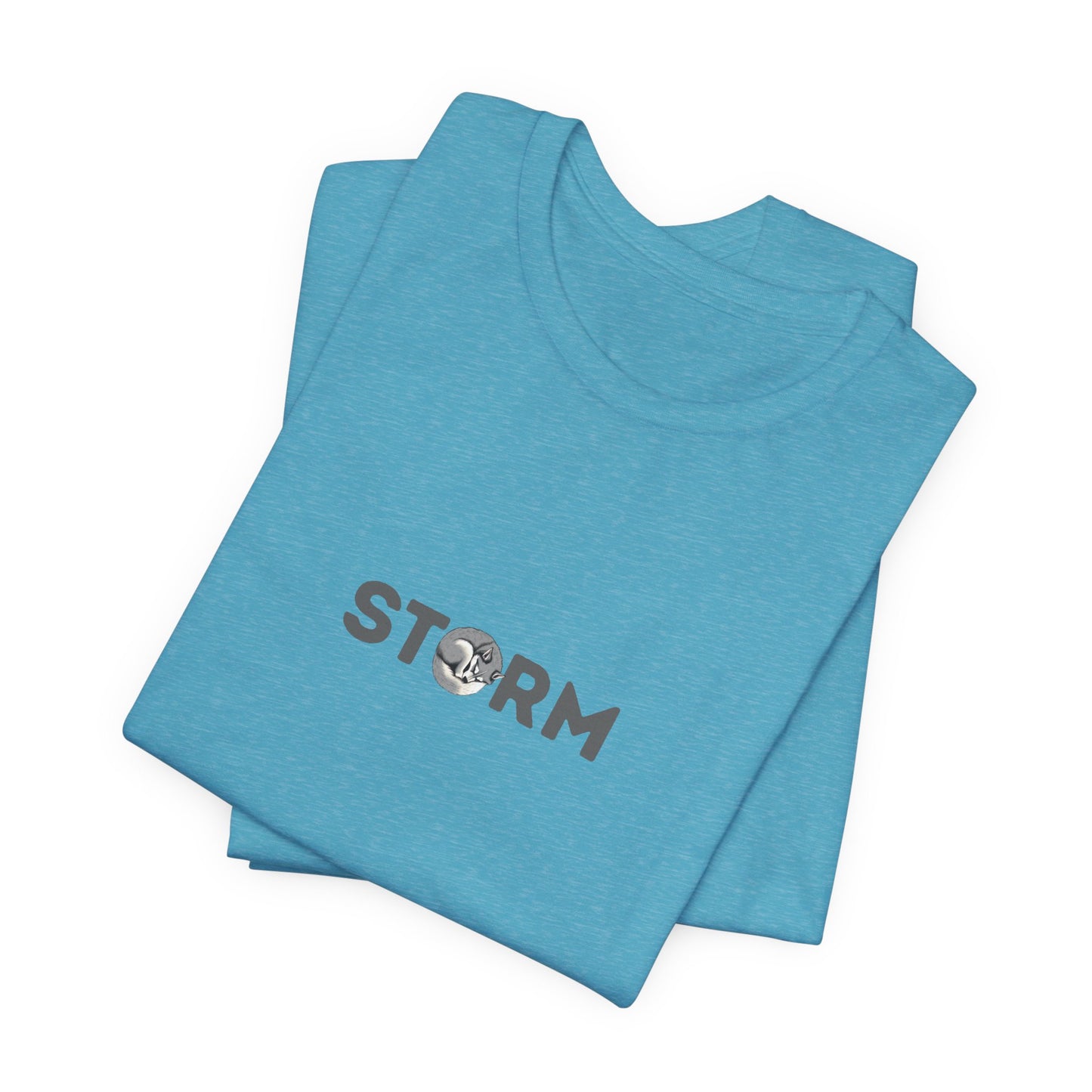 Storm Husky Letter T-Shirt